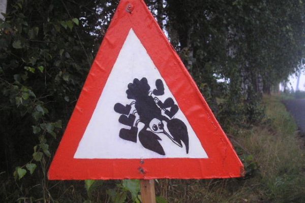 Rač&iacute; stezkou 2011