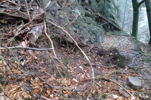 Riegrova stezka po vichřici 10/2017 neprůchodn&aacute;!