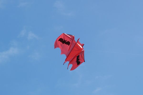 Draki&aacute;da 2010