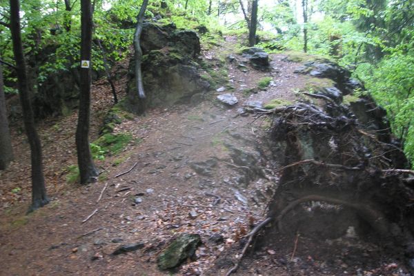 Kamenick&eacute;ho stezka