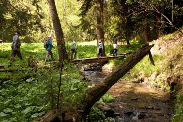 Naučn&eacute; stezky