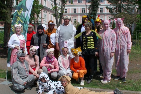 Poh&aacute;dkov&yacute; les 2015