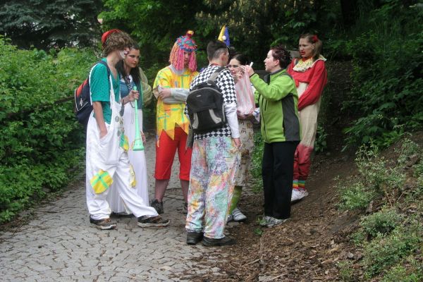 Poh&aacute;dkov&yacute; les 2008