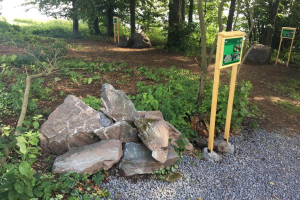 Geologick&aacute; expozice