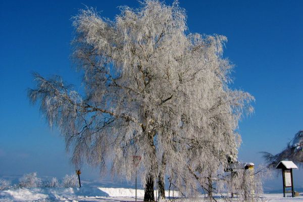 Tipy na v&yacute;let