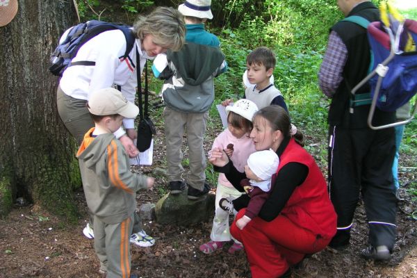 Pohádkový les 2005