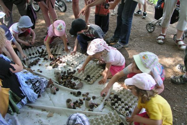 Poh&aacute;dkov&yacute; les 2011