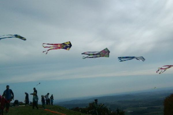 Drakiáda 2012
